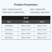 2025 New Japanese Polyester Cotton Quilted Summer Quilt Skin-Friendly Washable Light Luxury Style Solid Color Lightweight